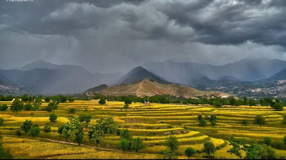 در باجور، پیش از آغاز خیزش مردمی برای صلح در ۱۳ جولای، مولانا خانزیب، عضو فعال حزب عوامی نیشنل، در ۱۰ جولای توسط افراد مسلح ناشناس ترور شد