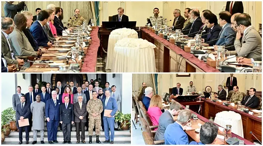 پاکستان و آمریکا بر سر مواد معدنی حیاتی به توافق رسیدند