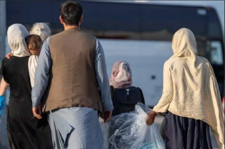 تصویر سردخانهٔ محلی در ولایت هرات که اجساد مهاجران افغان در آن نگهداری می‌شود.