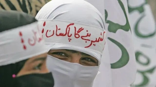 روز همبستگی کشمیر بار دیگر نشان داد که مردم پاکستان در کنار کشمیری‌ها ایستاده‌اند و جامعهٔ جهانی باید برای پایان دادن به نقض حقوق بشر و تحقق حق تعیین سرنوشت آنان اقدام کند.