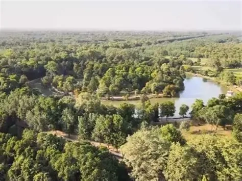 برنامهٔ نهالشانی جنگل مارگله نشاندهندهٔ عزم جدی دولت و جامعهٔ مدنی برای حفاظت از محیط زیست است