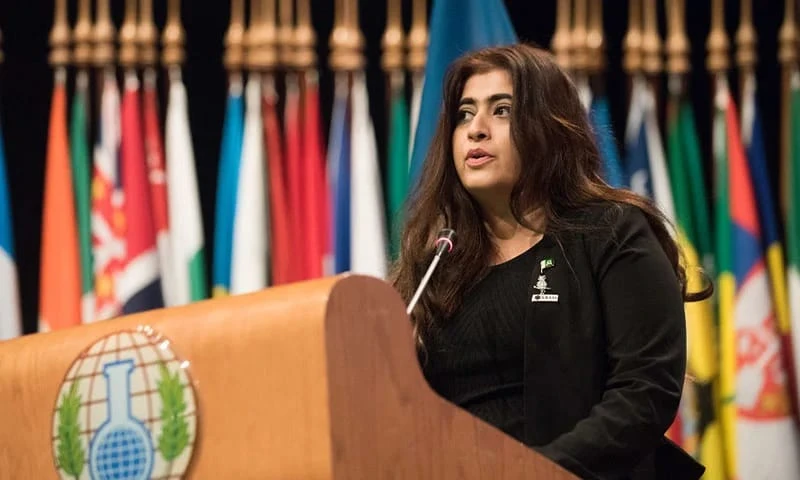 اگر رژیم طالبان یک سال دیگر بر سر قدرت بماند، افغانستان به چندین بخش تجزیه خواهد شد؛ ادعای داکتر ماریا سلطان