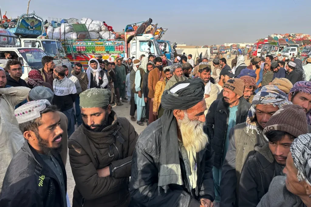 وزارت داخله فدرال با صدور اطلاعیه‌ای، دستور بازداشت شهروندان افغانِ فاقد مدارک قانونی را از ۱۱ جولای صادر کرده و از اداره‌های ولایتی خواسته است که گزارش روزانه اقدامات خود را ارائه کنند