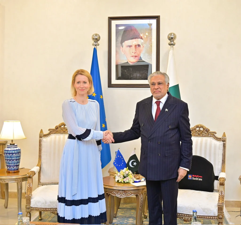 در هشتمین گفت‌وگوی راهبردی میان پاکستان و اتحادیه اروپا در اسلام‌آباد، درباره گسترش همکاری‌ها در زمینه‌های تجارت، سرمایه‌گذاری، امنیت، تغییرات اقلیمی و همکاری‌های چندجانبه گفت‌وگوهای مفصلی انجام شد
