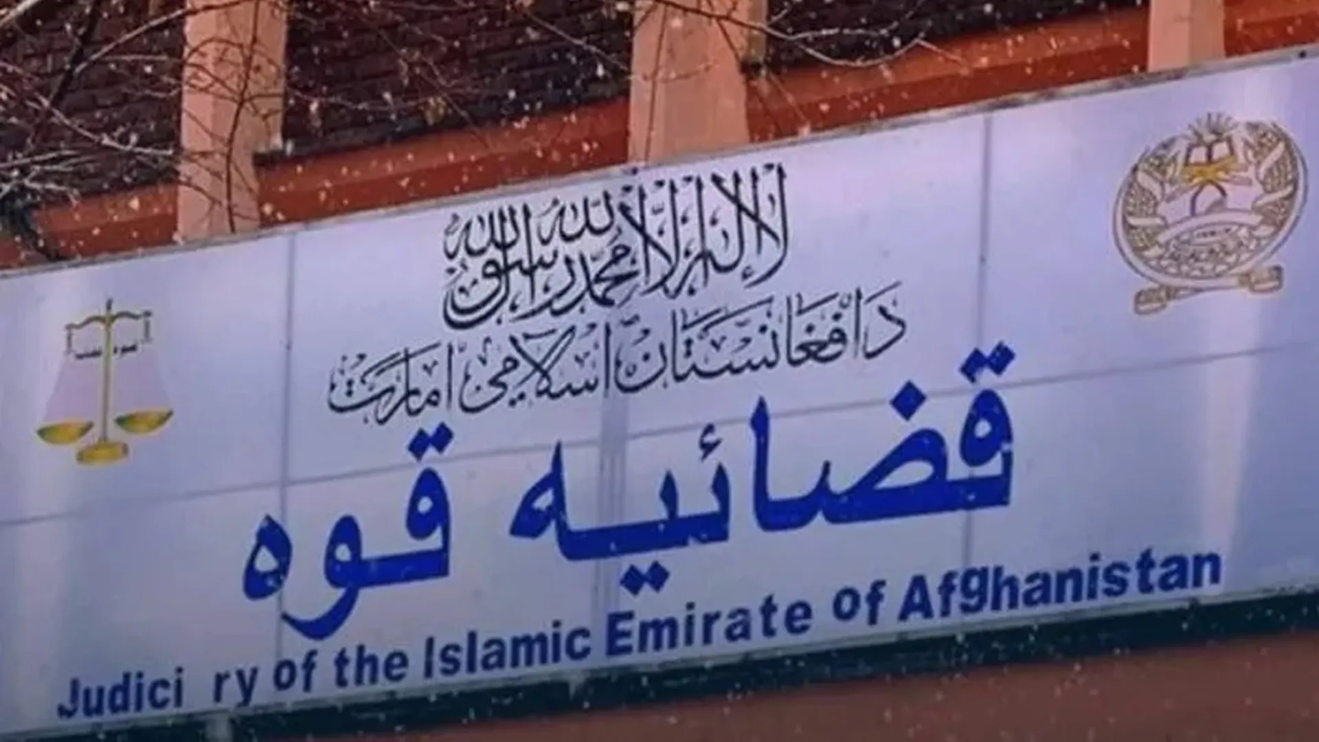 تهدید قربانیان از سوی محکمهٔ نظامی در پی ارتکاب جرم سنگین توسط فرماندهان طالبان در خوست؛ انتقاد شدید از نبود حساب‌دهی در افغانستان.
