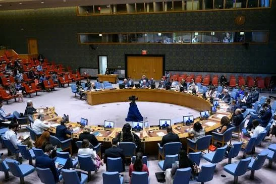 گزارش سازمان ملل متحد، وجود پناهگاه‌های امن تحریک طالبان پاکستان (TTP) در افغانستان و فعالیت‌های ضدپاکستانی این گروه را افشا کرده است