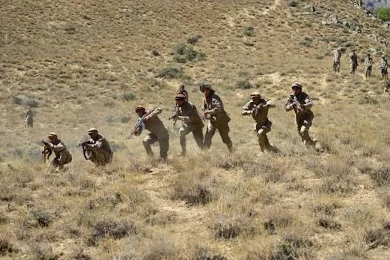 جبههٔ آزادی افغانستان از درگیری‌های شدید با طالبان، وارد کردن تلفات و پیشروی مهم در ولسوالی زیبک ولایت بدخشان خبر داده است