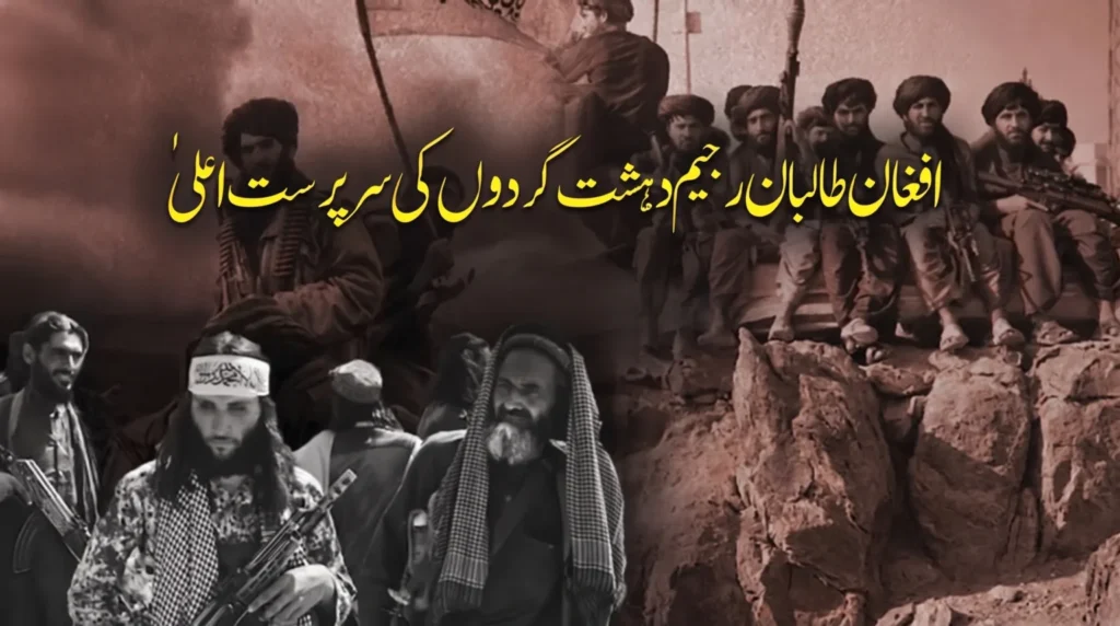 کشته شدن سه تبعه افغان در جریان عملیات نیروهای امنیتی در وزیرستان و باجور، شواهد روشنی از ارتباطات فرامرزی تروریسم در پاکستان را برملا ساخته است