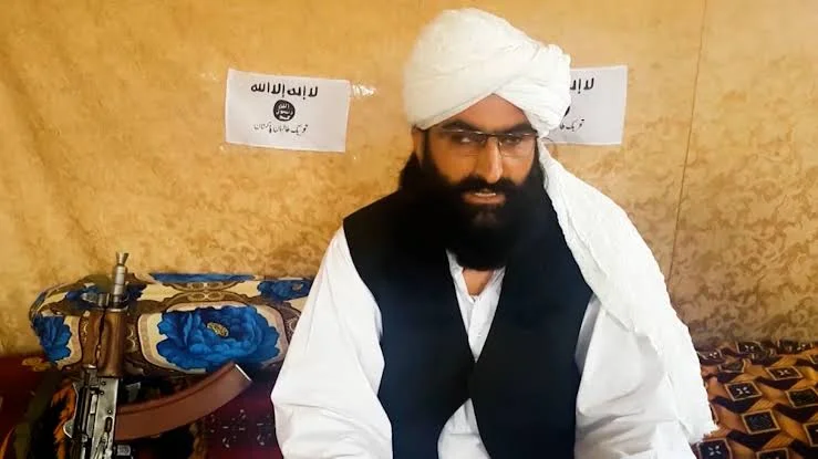 در بیانیه افشاشده منسوب به نور ولی محسود، ادعای حق ٹی‌ٹی‌پی بر افغانستان و ارتباط آن با امارت اسلامی مطرح شده که این امر موقف پاکستان را تقویت می‌بخشد